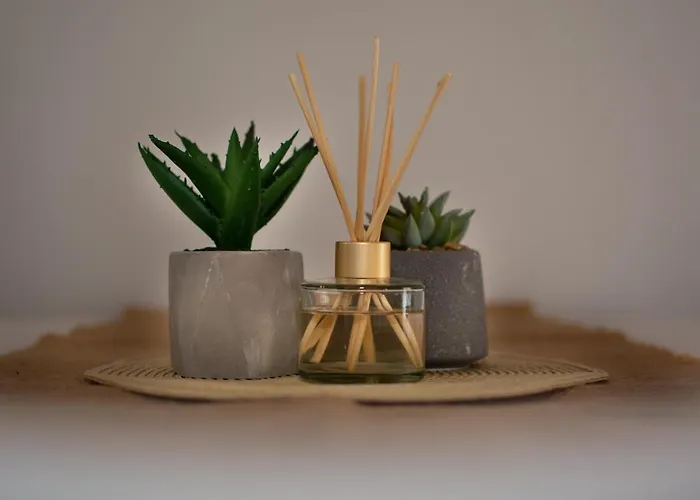 Guest house Noemie 3*